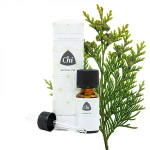 Chi Thuja Etherische Olie (Wild) 10ml