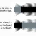 wow mascara 4