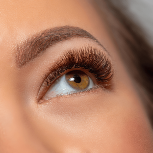 Cils & Sourcils
