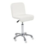 MAZSI-0170209