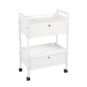 Table d’instruments Twinny BLANC avec support pour lampe-loupe