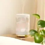 leaves_slaapkamer_plant_w