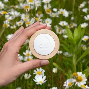 Geurstenen & Diffusers